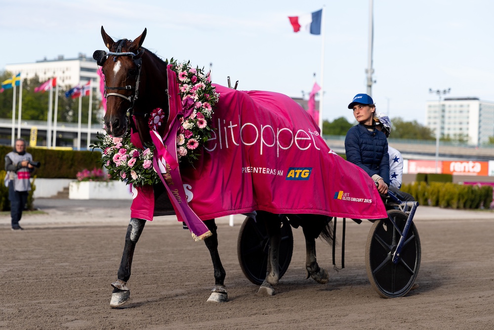 Elitloppet Prispengar – hur mycket får vinnaren i prissumma / vinstsumma?