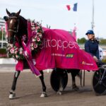 Elitloppet Prispengar – hur mycket får vinnaren i prissumma / vinstsumma?
